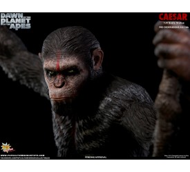 Dawn of the Planet of the Apes Regular Ceasar 1/4 Scale Statue 61 cm